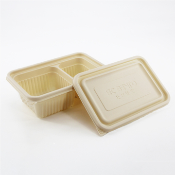 Biodegradable 2 Compartment Lunch Box with Lid - Disposable Food Container