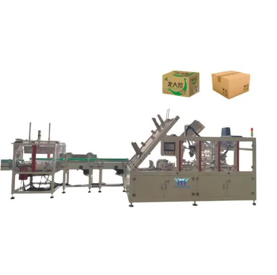 Automatic Liquid Glass Bottle and Cardboard Box Packing Machine