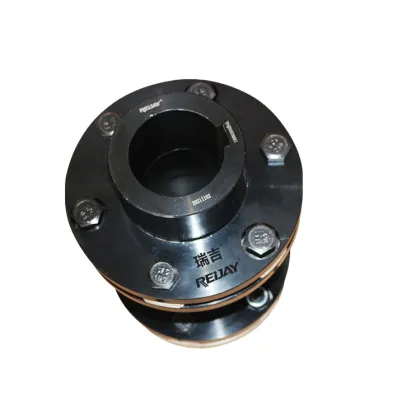 R+W LP1 S 1600 Configuration SU SX SXCST Disc Coupling for Mining