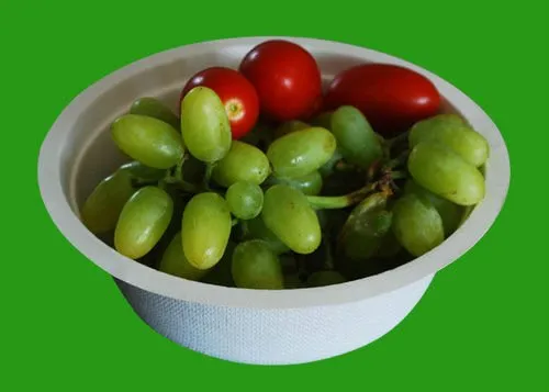 Biodegradable 100% natural sugar cane fiber round disposable paper pulp bowl