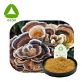 Turkey Tail Extract Polysaccharide 30% Powder