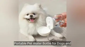 Portable Pet Water Bottle for Dogs and Cats