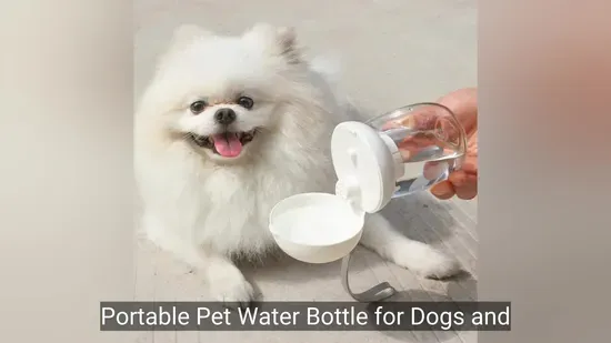 Portable Pet Water Bottle for Dogs and Cats