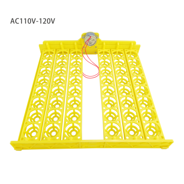 Fully Automatic Small Poultry Incubator for 48 Eggs