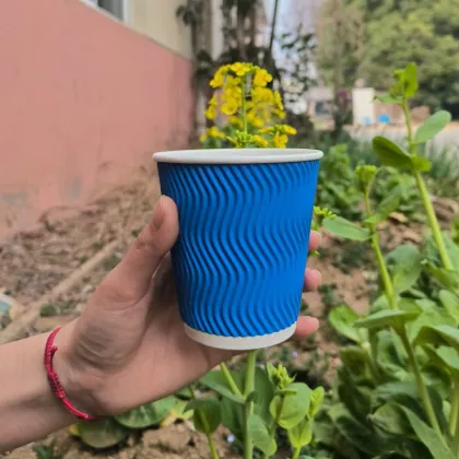 16oz S Corrugated Dual-tone Corrugated Insulated Paper Cups