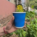 Copos de papel isolados ondulados de tom duplo ondulado S de 16 onças