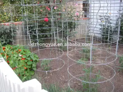 Tomato Growing Stent