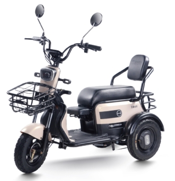 N1 (Leisure Electric Tricycle)