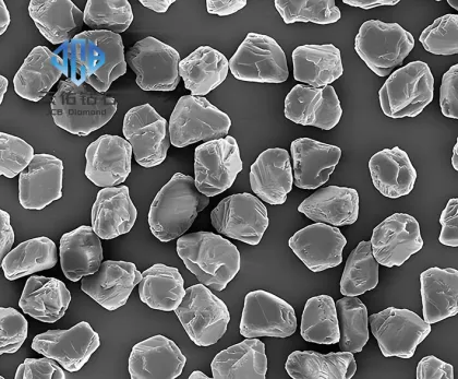 General Diamond Micron Powder