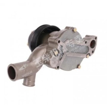 E2100-1307020G E2100-1307020E E2100-1307020 Water Pump