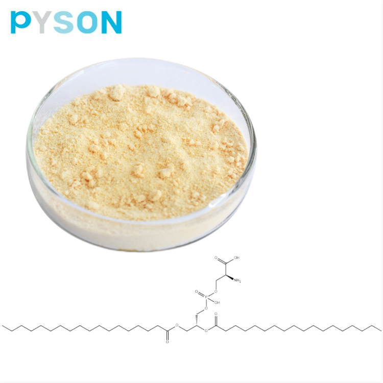 مسحوق فوسفاتيديل سيرين 20٪ HPLC