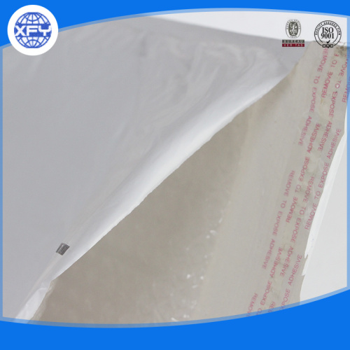 Plastic Bag for Mail