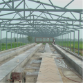 Prefabricated steel structure Poultry House