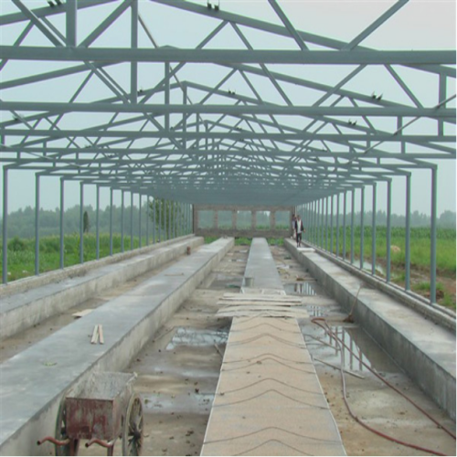 Casa de aves de corral de estructura de acero prefabricada