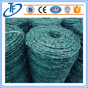 Concertina Barbed Wire/High Quality Concertina Barbed Wire