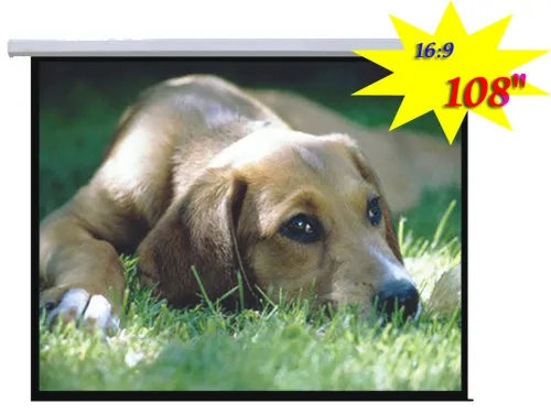 169 Electric Projection Screen 