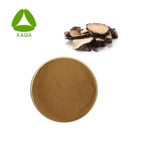 Polyporus umbellatus extract powder 30% polisacharides