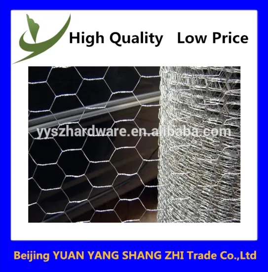 Hexagonal chicken wire mesh/anping hexagonal mesh/hexagonal steel tube