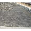 Construction Steel Plastic Geogrid