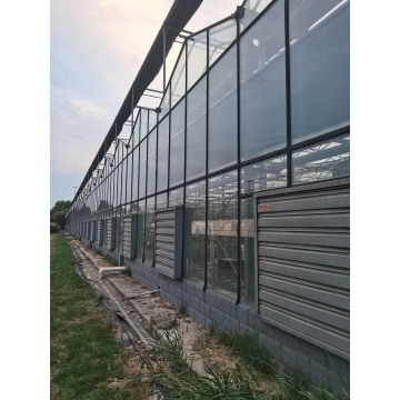 گلخانه پارک اکولوژیکی کشاورزی