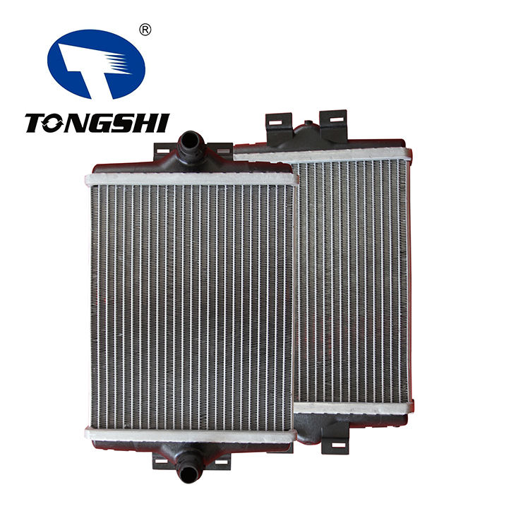 High Quality TONGSHI Car Aluminum Heater Core for BMW F20-F30 OEM 17117628057 Manufacture Heater