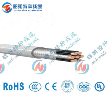 Servo Drive Cable, CE Certification (Fixed Installation)