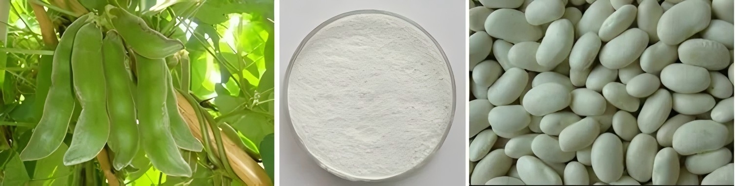 Mucuna Pruriens Extract (5)