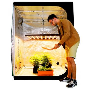 Lámpara de cultivo de invernadero con iluminación superior de horticultura 640 Watt