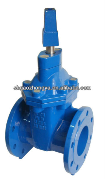 ci gate valve