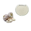 Product Garlic Extract Powder Garlic Allicin