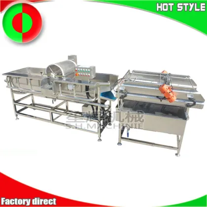 Vortex Fruit Cleaning Machine: Large Ozone Vegetable Washing System for Kitchen Food Processing
