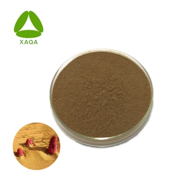 Herba Cynomorii Extract 98٪ Suo Yang Alkaloids Powder