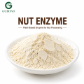 Enzima de nueces para procesamiento de nueces, extracción de proteínas vegetales y aplicaciones de bebidas
