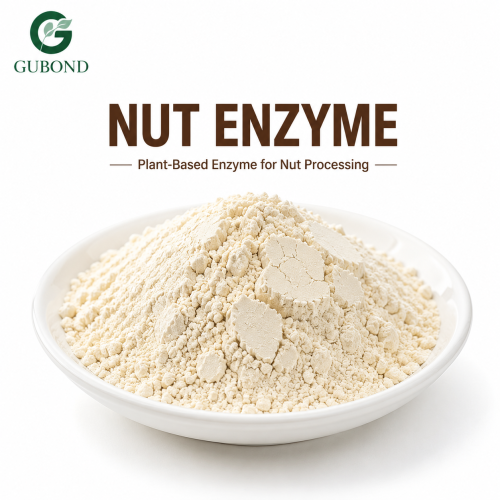 Enzima de nueces para procesamiento de nueces, extracción de proteínas vegetales y aplicaciones de bebidas
