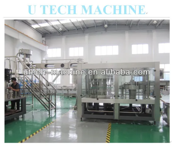 4000BPH CGF16-12-6 Automatic Mineral Water filing machine