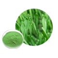 Most Popular Wheat Grass Powder