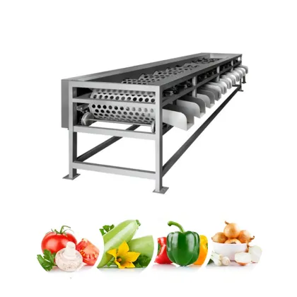 Stainless Stell Vegetable Grading Machine