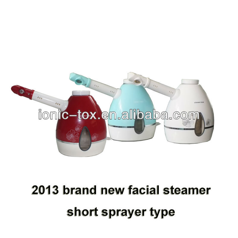 OHFS-01 short sprayer type facial steamer-2