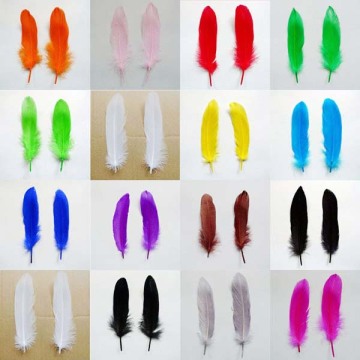 Wholesale Colorful Dyed Turkey Feather for Spreading Sage Smoke