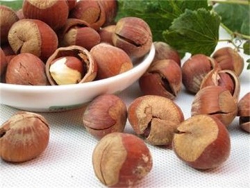 Hazelnut