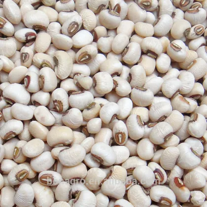 White cowpeas