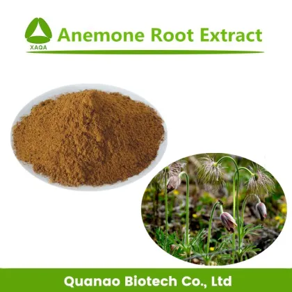 Pure Natural Anemone Root Powder Extract Anemone Extract