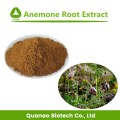 Reiner natürlicher Anemonenwurzelpulver-Extrakt-Anemonen-Extrakt