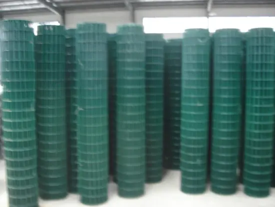 PVC Coated Holland Wire Mesh Welded Euro Fence