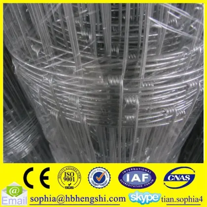 durability farm field fence/high tensile game fence/grassland field fence                        
                                                                                Supplier's Choice