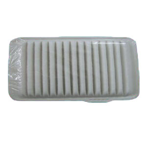 High Quality Multi-Used Air Filter (22676970)