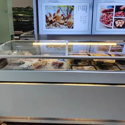 Commercial Horizontal Ice Cream and Cooked Food Display Freezer