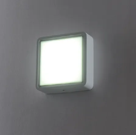 3 Years Warranty 10W LED Wall Light 8107L