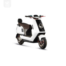New Design Two-wheeler Vehicle Lithium Battery Motor Scooter 25kph 35kph 45kph Electric Motorcycle
