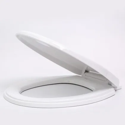 Beautiful Home Flushable Smart Hygienic Toilet Seat Cover
